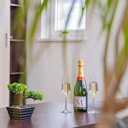 Luxusny, Plne Zariadeny, Sukromny S Klimatizaciou Nedaleko Historickeho Kupelneho Mesta Bojnice Apartment Novaky