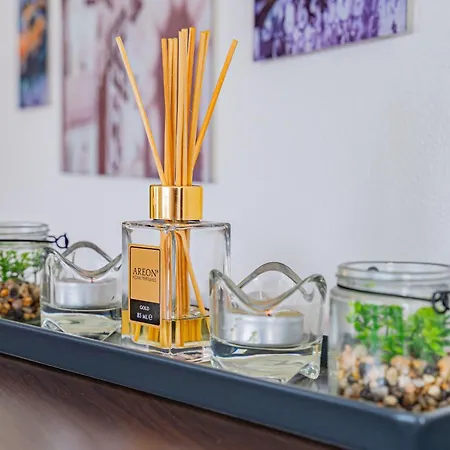 Apartment Luxusny, Plne Zariadeny, Sukromny S Klimatizaciou Nedaleko Historickeho Kupelneho Mesta Bojnice Novaky